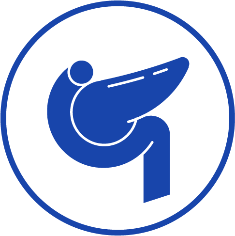 胰腺